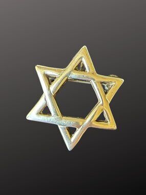 Vintage Premier Designs "Shalom" Star of David Pin Pendant